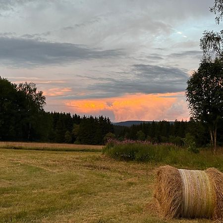 An Der Liesel Wiese Johanngeorgenstadt Exteriör bild
