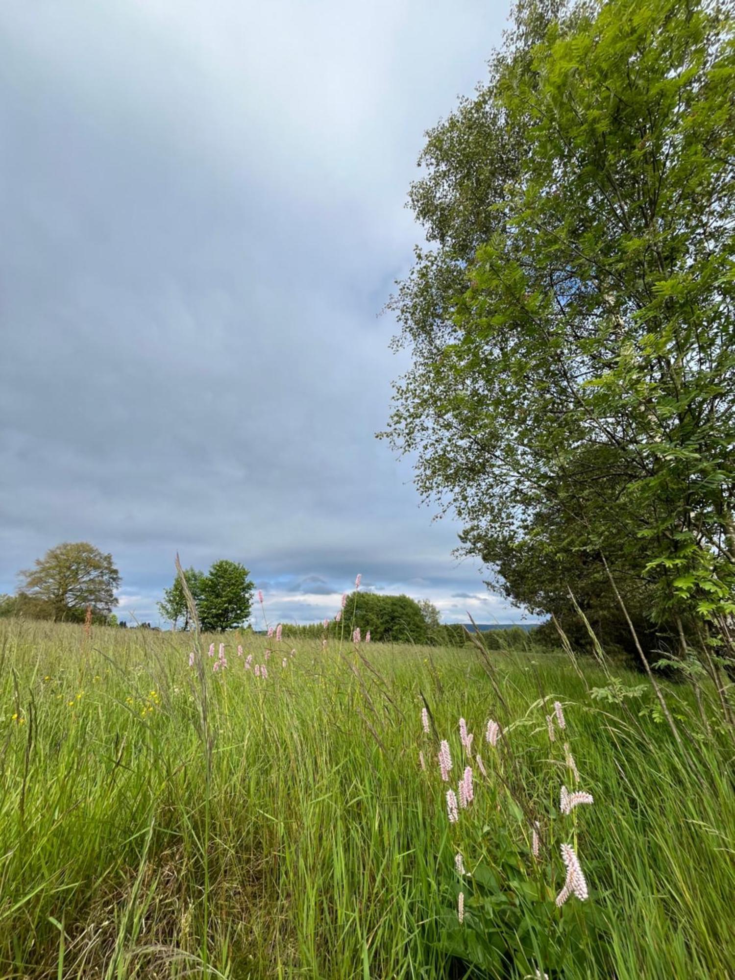 An Der Liesel Wiese Johanngeorgenstadt Exteriör bild