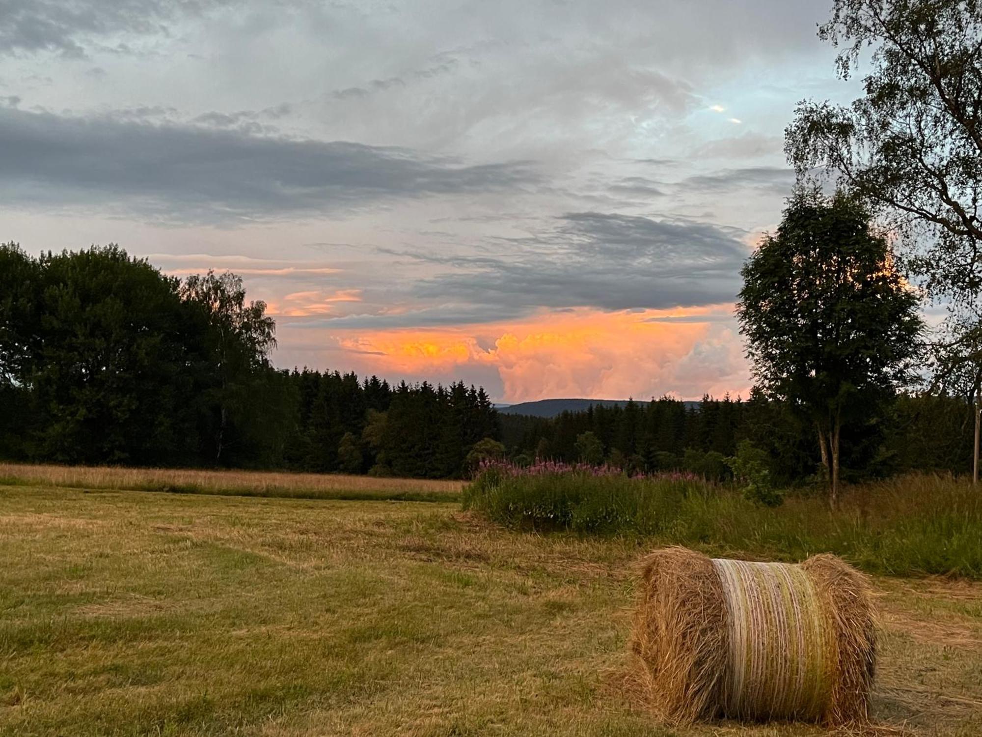 An Der Liesel Wiese Johanngeorgenstadt Exteriör bild