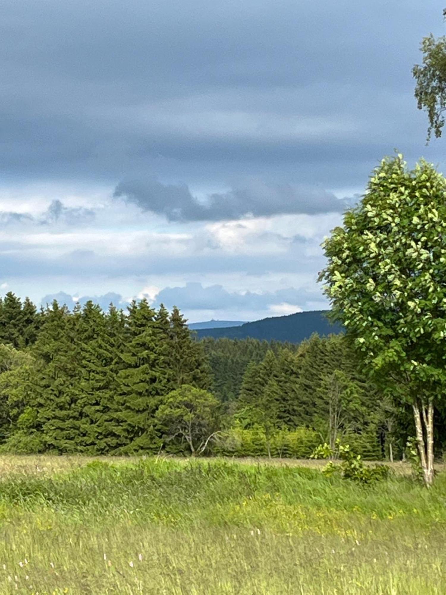 An Der Liesel Wiese Johanngeorgenstadt Exteriör bild